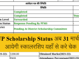 UP Scholarship