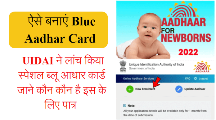 Blue Aadhar Card