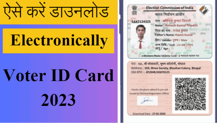 Voter ID Card