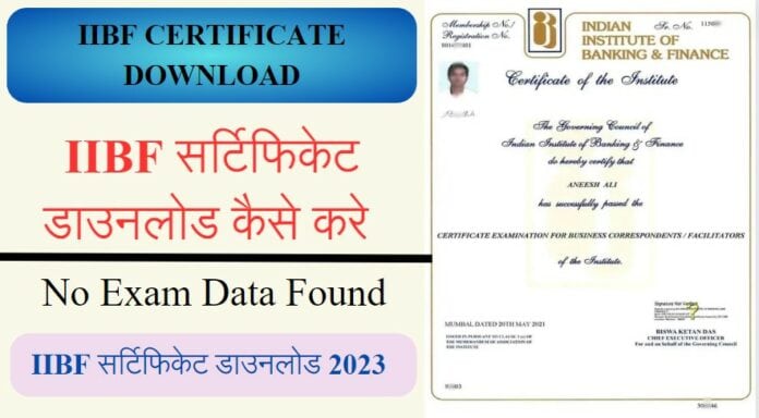 IIBF Certificate Download