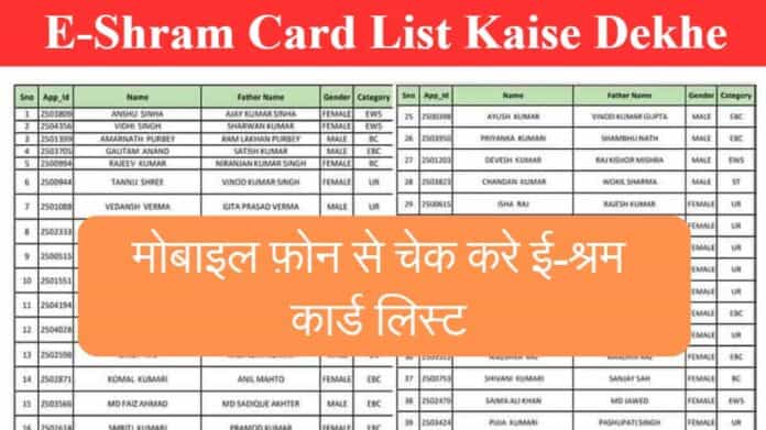 E-Shram Card List