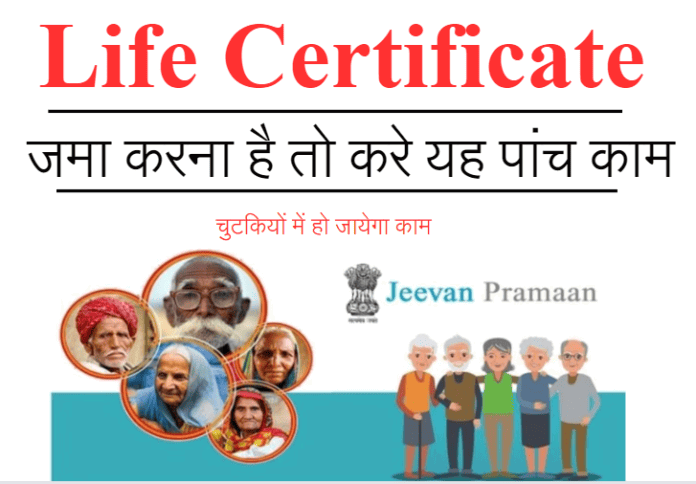 Life Certificate dsadsa