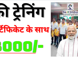 PMKVY 4.0 Online Registration 2024 फ्री ट्रेनिंग तथा सर्टिफिकेट के साथ ₹8000 प्राप्त करें