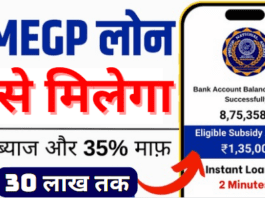 PMEGP Loan Apply Online PMEGP लोन योजना 35% लोन तुरंत माफ़ ऐसे मिलेगा लाभ